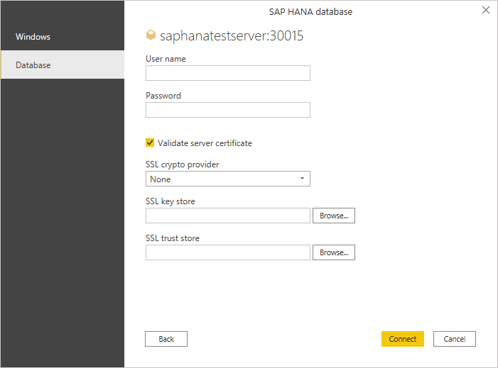 Screenshot of the authentication dialog where you enter the server credentials.