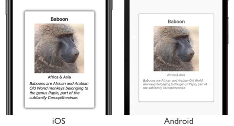 CarouselView dynamic item sizing Screenshot of a CarouselView with dynamic item sizing, on iOS and Android