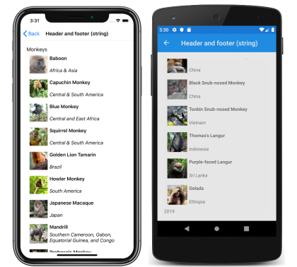 CollectionView string header and footer Screenshot of a CollectionView string header and footer, on iOS and Android