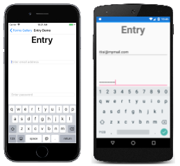 Entry Example Entry Example